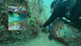 Antalya'da Anne Ahtapotun Fedakarlığı Görüntülendi
