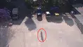 Alanya Fığla'da Sokak Hayvanlarının Mama Kapları Böyle Yok Oldu