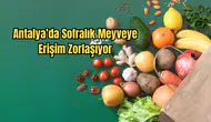 Antalya Ticaret Borsası Hal Endeksini Açıkladı