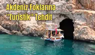 Nesli Tükenmekte Olan Akdeniz Foklarına "Utanç Verici" Tur