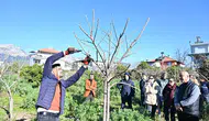 Antalya'da Bahçeler Profesyonel Ellere Emanet: ATASEM'den Uygulamalı Eğitim
