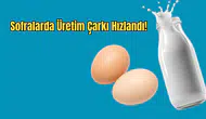 TÜİK Şubat Verilerini Açıkladı: Tavuk Eti ve Süt Üretiminde Son Durum Ne?