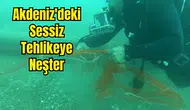 Hayalet Ağlar Temizlendi, 1.5 Milyon Canlı Kurtuldu