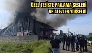 Manavgat'ta Alevlerin Sardığı Tesisten Son Anda Kaçtılar!