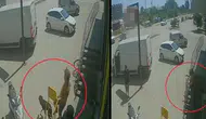 Savaştan Kaçıp Antalya’da Hayvan Canisi Oldu