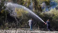 Antalya Aksu'daki Orman Yangını Kontrol Altına Alındı