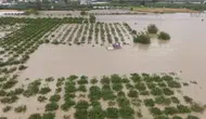 Hatay'da Ev Kurup Tek Başına Yaşamak İsterken Sele Kapılıp Can Verdi