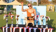 Antalya'daki Uluslararası Yarışmada Aladar Türkiye Şampiyonu Oldu