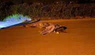 Serik'te Gece Saatlerinde Ortalık Savaş Alanına Döndü! 3 Arkadaş Hayatını Kaybetti