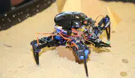 Antalya'da Teknoloji Meşalesi Yanıyor: 18. Uluslararası MEB Robot Yarışması Başlıyor