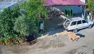Mersin'de Kaçan Kurbanlıklar Seraları ve Üst Geçidi Birbirine Kattı