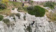 Kedinin Peşinden Giden Köpek Falezlerden Düştü! Film Gibi Operasyonla Kurtarıldı