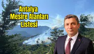 Antalya'da Ormana Girişler Yasaklandı! Mesire Alanlarına Saat Ayarı