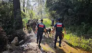 41 Kere Maşallah! Kumluca'da Kaybolan Keçileri Jandarma Buldu