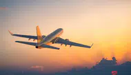 Antalya'dan Kalkan Uçak Diyarbakır’a İnemedi: Hava Muhalefeti Rotayı Değiştirdi!