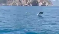 Alanya Kalesi Açıklarında Denizden Gelen Sürpriz