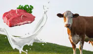 Kırmızı Et ve Süt Üretimi Kan Kaybediyor: TÜİK Verileri Açıklandı!