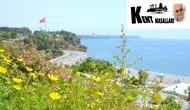 Vahşi Baharın Son Tangosu