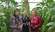 Aksu’da 45 Derecede Üç Kuşak Kadın Üretici Sofralar İçin Ter Döküyor