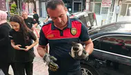 Burdur'da Otomobil Motoruna Sıkışan Yavru Kedi Kurtarıldı