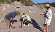 Gazipaşa Kahyalar Sahili'nde 10 Yaşındaki Yeşil Kaplumbağa Ölü Bulundu