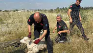 Aksu'da 3 metrelik Çukurdan Gelen O Ses Mahalleliyi Harekete Geçirdi