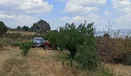 Eğirdir'de Zirai Alanda Yangın: Ekipler Büyümeden Söndürdü