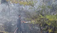 Antalya Aksu’da Ormanlık Alanda Yangın Paniği: Ekipler Seferber Oldu