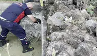 Su İçmek İstemişti: Hatay'da Ekipleri Harekete Geçiren Olay