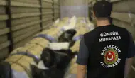 Gümrük Muhafaza Geçit Vermedi: İki İlde 8 Milyarlık Uyuşturucu