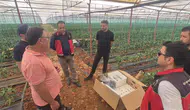 COP31 Kapsamında Elmalı'da Büyük Değişim: Seralar İçin Kritik Karar!