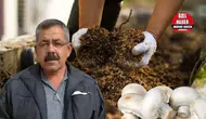 Korkuteli'nde Torf Krizi: "Burası Ölüdeniz Değil, Hayvancılık Köyü!"