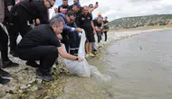 Antalya'da Özel Büyütülen 107 Bin Yavru Balık Gölete Salındı