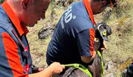 Burdur'da Dağlık Alanda Mahsur Kalan Keçiler Ekiplerce Kurtarıldı