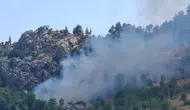 Alanya'da Zirai Yangın: Kiraz ve Zeytin Bahçeleri Kül Oldu