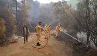 Fethiye'deki Orman Yangını Büyük Ölçüde Kontrol Altına Alındı