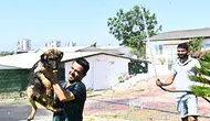Muratpaşa Belediyesi'nden Sokak Hayvanları İçin Yaz Önlemi