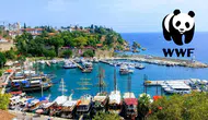 WWF Platformunda Büyük Başarı: Antalya İklim Projeleriyle Finalde