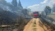 Serik'te Yangın Paniği: Alevler Evlere Ulaşmadan Durduruldu