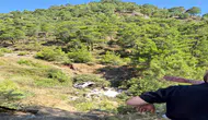 Kumluca'da Acı Kaza: Bariyerleri Aşan Kamyon Şarampole Devrildi