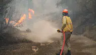 Fethiye Alevlere Teslim Olmuştu! Enerjisi Düşürüldü, Bölgeden Son Gelişmeler!