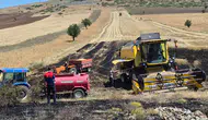 Burdur'da Hasat Sırasında Çıkan Yangın Büyümeden Söndürüldü