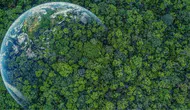 COP31 Öncesi Antalya'da Alternatif Cephe Kuruluyor