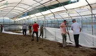 Kumluca'da İlaçsız Temizlik: 50 Bin Dönümde Solarizasyon