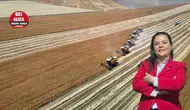 ZMO Antalya'dan Hububat Rekoltesi Değerlendirmesi