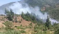 Adana Feke'de Orman Yangını: Ekipler Seferber Oldu