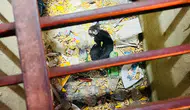Mazgala Düşen Kedi İçin Seferber Oldular! İtfaiye Zamana Karşı Yarıştı
