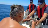 Alanya'da Deniz Kaplumbağası İçin Kaptan Suya Atladı