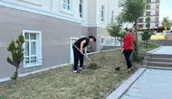Suçun Bedeli 10 Fidan Oldu! Burdur'da Dikkat Çeken Uzlaşma