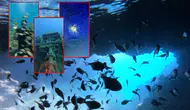 Antalya'nın Batıkları Dünya Dalış Turizminin Gözdesi: Falezlerin Altındaki Gizemli Dünya